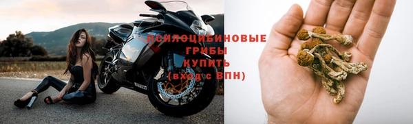 альфа пвп Горняк