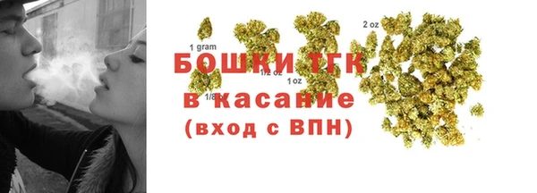 не бодяженный Горно-Алтайск
