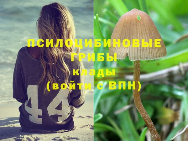 ПСИЛОЦИБИНОВЫЕ ГРИБЫ Горнозаводск