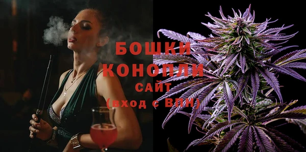 не бодяженный Горно-Алтайск