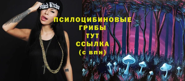 молекула духа Гусь-Хрустальный