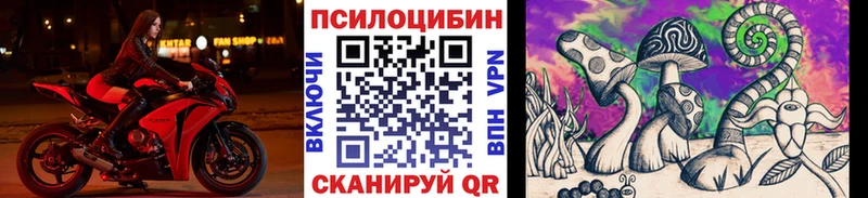 Псилоцибиновые грибы прущие грибы  Купить где  Кувшиново 